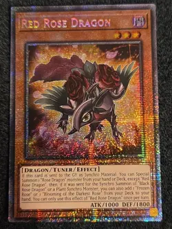 1x (M/NM) - Red Rose Dragon - MP25-EN037 - Starlight Rare - 1st Edition Yugioh - Image 1