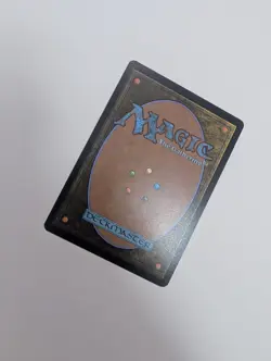 MTG - Ark of Hunger - Secrets of Strixhaven NM/M Condition - Image 3