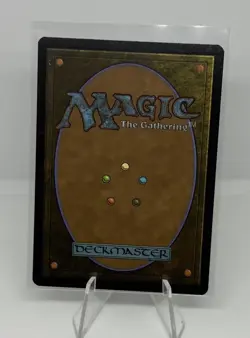 Decorum Dissertation (Borderless) 0292 - Secrets of Strixhaven SOS - NM/M MTG - Image 2