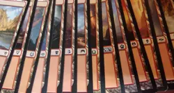 600 Basic Land ~ MIXED ~ Many Different Sets mtg Mana Lot PLAYED - Image 4