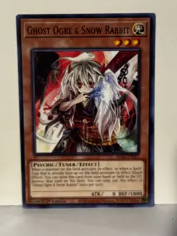 Ghost Ogre & Snow Rabbit Common SDAZ-EN017 1st Ed Yugioh NM - Image 1