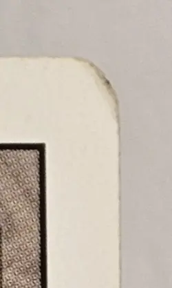 Magic: The Gathering Tropical Island Land Rare Revised Edition Jesper Myrfors - Image 4