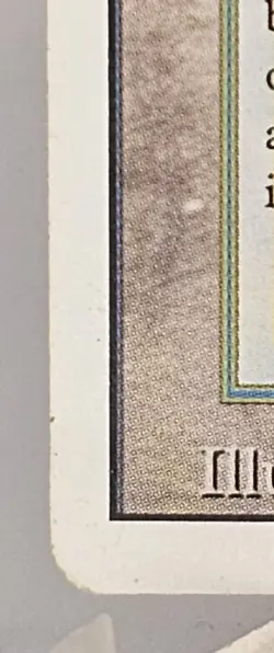 Magic: The Gathering Tropical Island Land Rare Revised Edition Jesper Myrfors - Image 5