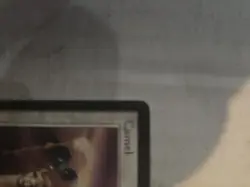 MTG: Arabian Nights: Camel In Great Cindtion X2 - Image 2