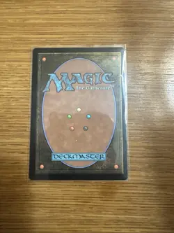 MTG Floodfarm Verge DSK NM Rare Land 259 Duskmourn Magic the Gathering FOIL - Image 2
