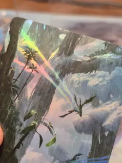L 0266 Forest FOIL BORDERLESS Full Art Land Edge of Eternities EOE MTG Card - Image 2