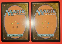MTG, EDGE OF ETERNITIES,2CARD PLAY SET: FOREST #0264, 1 FOIL & 1 REGULAR FINISH - Image 2