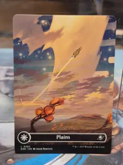 L 0262 Plains BORDERLESS Full Art Land Edge of Eternities EOE MTG Card - Image 1