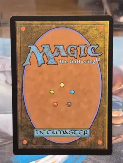 L 0262 Plains BORDERLESS Full Art Land Edge of Eternities EOE MTG Card - Image 2