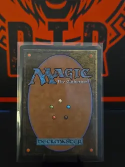 Fountainport (253) Bloomburrow BLB MTG Magic NM - Image 2