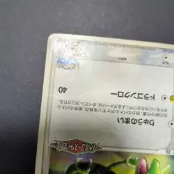 Rayquaza Promo Set 041/PCG-P 003/S-P Holo Japanese Pokemon Card Lot - Image 4