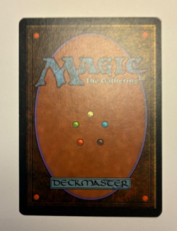 MTG chronicles Tormod's Crypt NM Common - Image 2