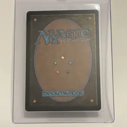 Traveling Chocobo (Regular) Non-Foil - NM (FINAL FANTASY MTG) (210) - Image 2
