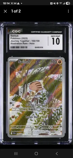 2 slabs Wugtrio 224/091 - Swinub 165 CGC 10 GEM MINT - IR Holo - Pokemon TCG - Image 3
