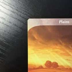 Plains Land Regular Full Art MTG Unstable #212 LP - Image 2