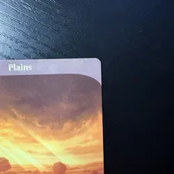 Plains Land Regular Full Art MTG Unstable #212 LP - Image 3