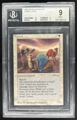 1993 Magic MTG Arabian Nights Camel BGS 9 - Image 1