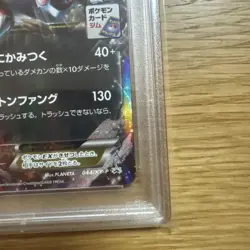[PSA10] Pokemon Card Walrein EX 044/XY-P Japan Import Pokemon - Image 4
