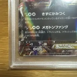 [PSA10] Pokemon Card Walrein EX 044/XY-P Japan Import Pokemon - Image 5