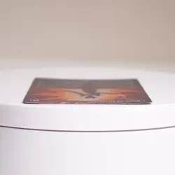 Door of Destinies Borderless 146 Foil MTG Special Guests SPG NM - Image 4