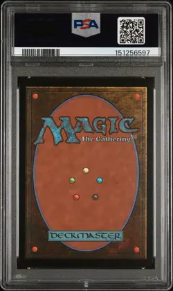 2025 MTG FINAL FANTASY CHOCOBO BUNDLE #0569 CHOCO, SEEKER OF PARADISE PSA 10 - Image 2