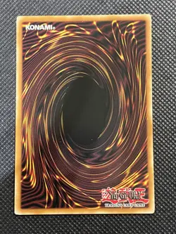 Yu-Gi-Oh! - Spellbook Organization GLD5-EN041 Common Limited Edition Near Mint - Image 2