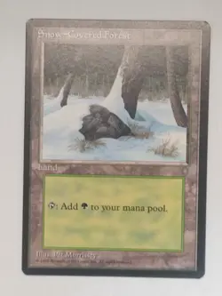 Snow-Covered Forest - Ice Age (ICE) - #347 - Magic: The Gathering - MTG - LP - Image 1