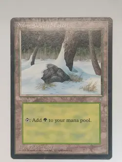 Snow-Covered Forest - Ice Age (ICE) - #347 - Magic: The Gathering - MTG - LP - Image 3