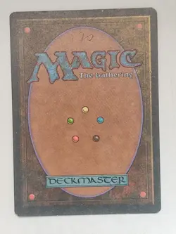 Snow-Covered Forest - Ice Age (ICE) - #347 - Magic: The Gathering - MTG - LP - Image 4