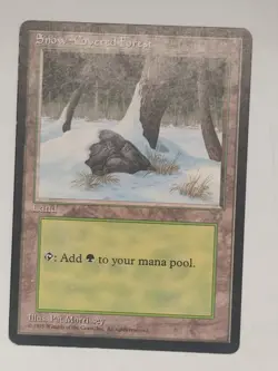 Snow-Covered Forest - Ice Age (ICE) - #347 - Magic: The Gathering - MTG - LP - Image 5