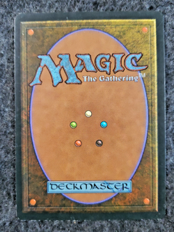 HIpparion Ice Age #31 Magic The Gathering 1995 MTG Single .............(DS3D1K7) - Image 2