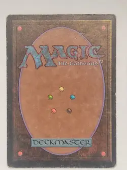 Snow-Covered Forest - Ice Age (ICE) - #347 - Magic: The Gathering - MTG - NM - Image 2