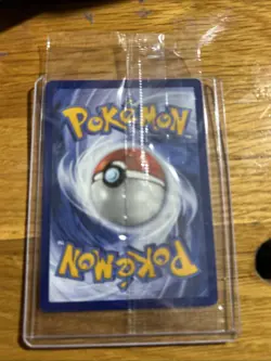 SEALED Pokemon Koraidon SVP Black Star Promos SVP014 Holo Promo - Image 2