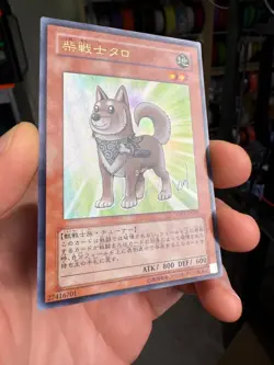 YuGiOh TCG Shiba-Warrior Taro YAP1-JP009 Ultra Rare Holo JAPANESE - Image 2