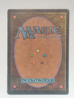 Snow-Covered Mountain - Ice Age (ICE) - #349 - Magic: The Gathering - MTG - LP - Image 4