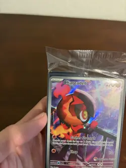 Pokemon Phantasmal Flames - Charcadet Pokemon Center ETB Promo - Sealed! - Image 4