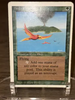 MTG Magic Birds of Paradise Revised LP (B) - Image 3