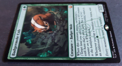 MTG Badgermole Cub | Avatar: The Last Airbender | NM | Mythic Green Creature | - Image 4