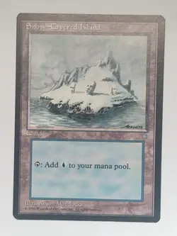 Snow-Covered Island - Ice Age (ICE) - #348 - Magic: The Gathering - MTG - LP - Image 3