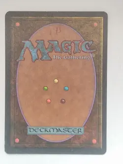 Snow-Covered Island - Ice Age (ICE) - #348 - Magic: The Gathering - MTG - LP - Image 4