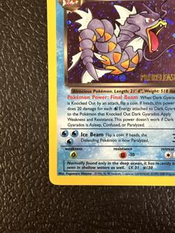 Prerelease Dark Gyarados 8/82 - Team Rocket Promo - Holo Pokemon Card - NM/LP+ - Image 5