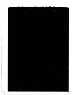 NM Pawmot ex Obsidian Flames 073/197 Double Rare Pokemon - Image 2