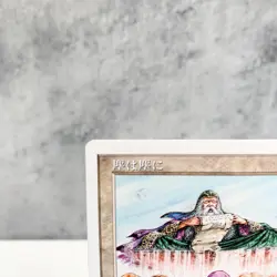 MTG Dust to Dust Japanese Edition White Sorcery Uncommon Magic the Gathering - Image 2