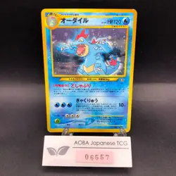 Feraligatr Holo Neo Premium File Promo - Japanese Pokemon Card - 2000 - Image 1
