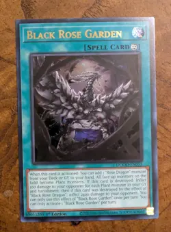 Black Rose Garden DOOD-EN055 Ultra Rare 1st Edition Near Mint Yu-Gi-Oh! - Image 1