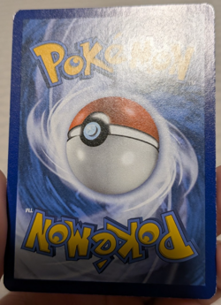 Pokemon Absol Promo Holo XY178 *LP* Blood Moon - Image 5