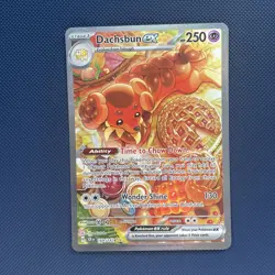 Dachsbun ex 169/142 Special Illustration Rare Stellar Crown NM - Image 1