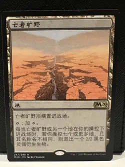 Field of the Dead - MTG - Chinese Simplified - M20 - LP - NM - Image 1