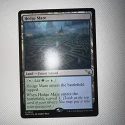Hedge Maze 0262 Regular Rare Land MTG Murders at Karlov Manor Mint Magic TCG - Image 1