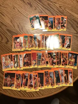 Hooters 1994 Star ‘94 Trading Card Lot of 42 - Image 1